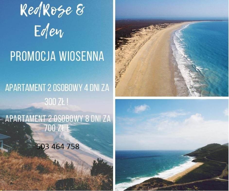 Resort Eden Domki, Apartamenty I Pokoje Jastrzębia Góra Esterno foto